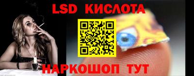 амф Гусев