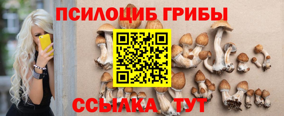 Мурино  Псилоцибиновые грибы мицелий  Вход с VPN 