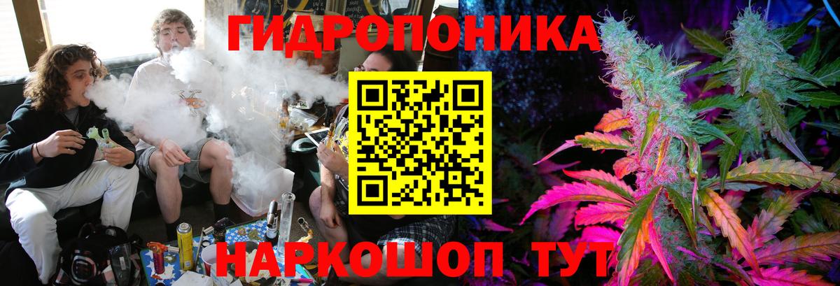 Марихуана Ganja  Бошки марихуана семена  Мурино  Вход с VPN  Шишки марихуана сатива 